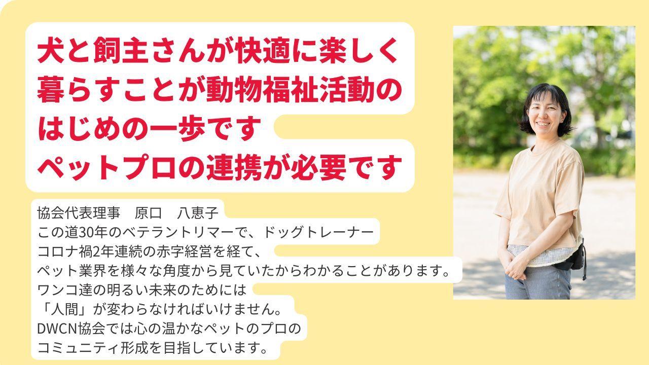 犬と飼主さんが快適に楽しく 暮らすことが動物福祉活動の はじめの一歩です ペットプロの連携が必要です協会代表理事　原口　八恵子 この道30年のベテラントリマーで、ドッグトレーナー コロナ禍2年連続の赤字経営を経て、 ペット業界を様々な角度から見ていたからわかることがあります。 ワンコ達の明るい未来のためには 「人間」が変わらなければいけません。 DWCN協会では心の温かなペットのプロの コミュニティ形成を目指しています。